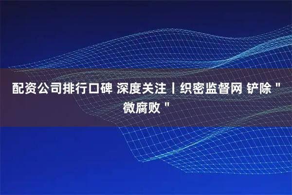 配资公司排行口碑 深度关注丨织密监督网 铲除＂微腐败＂